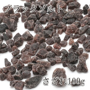  100g ubN \gy [֑Ή zC̉ Black salt r[\g  VR p[Xg[   J[Xg[