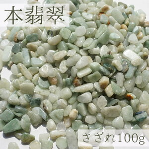  100g {Ő VR p[Xg[ J[Xg[