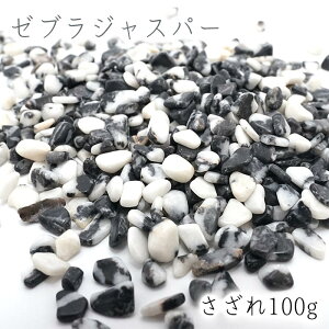  100g [uWXp[ VR p[Xg[   J[Xg[