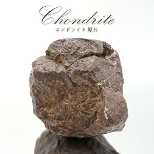 yyVX[p[SALE 30%OFFz RhCg  bRY 覐 Chondrite y _ z ˔\ \ GlM[ RhCg 󏭌 VR p[Xg[ J[Xg[ wQ2q8