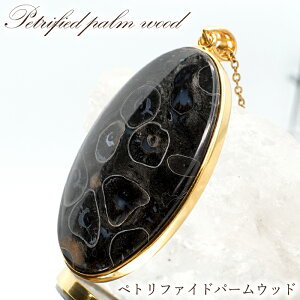 ygt@Chp[Ebh SV925 y_ggbv ChlVAY I[o Petrified Palm Wood  tN   VR p[Xg[ J[Xg[