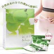 正規販売店 随便果 10g×15個 ずいびんか 発酵梅 天然発酵食品 100％天然果実 健康維持 青梅 防腐剤不使…