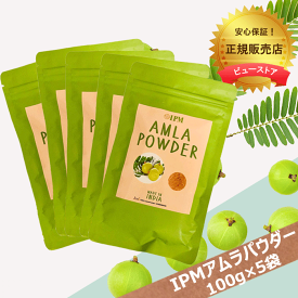 IPM アムラパウダー 100g 5袋セット 食品認可のアムラパウダー スーパーフルーツ 乾燥アムラ粉末 食用 AMLA POWDER