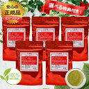 ★選べる特典付き 5個セット IPMリーフヘナ 100g×5個 白髪染め オーガニックハーブ USDA認定 エコサート認定 IPM IPMヘナ 正規品