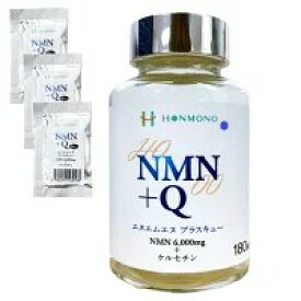 【サンプル3袋付き】 NMN Q (エヌエムエヌ プラス キュー) 　ニコチンアミドモノヌクレオチド ケルセチン
