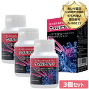 【12時迄注文⇒当日出荷】公式認定代理店 3個セット 【365日ヤマト倉庫出荷】 戦う還元発酵乳酸菌 ウィルアタック60粒 〜超微粒子カプセル〜還元発酵乳酸菌　乳酸菌発酵エキス　炭含有食品　ウイルアタック