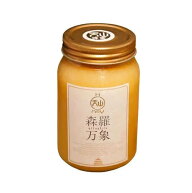 正規販売店 森羅万象 天山蜂蜜 600g 完熟非加熱 生はちみつ 天山山脈 天山はちみつ タンスン 完熟蜜 代理…