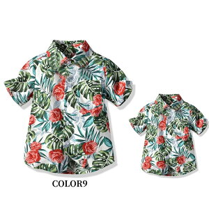 y[zeq AnVc eq eq 낢 eq yAtVc eqyA LbY NR[f eq Zbg j̎q Y q pp  ԕVc  t Cs n