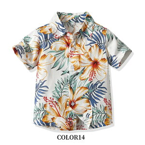 y[zeq AnVc eq eq 낢 eq yAtVc eqyA LbY NR[f eq Zbg j̎q Y q pp  ԕVc  t Cs n