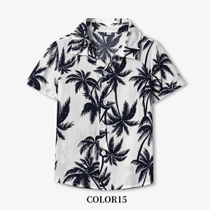 y[zeq AnVc eq eq 낢 eq yAtVc eqyA LbY NR[f eq Zbg j̎q Y q pp  ԕVc  t Cs n