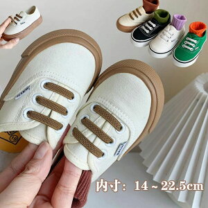 xr[Xj[J[qC 㗚X|[cC LbY ̎q j̎qxr[ V[Y C V[Y 킢 YbN oGV[Y LoXV[Y C w  y ʊw w }