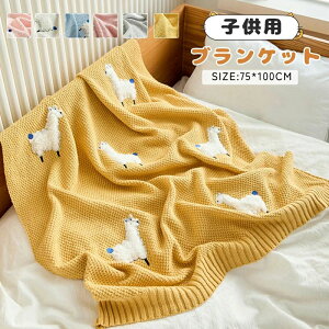 �q���p �j�b�g�u�����P�b�g ���Q�p�@�|���z�c�@�u�����P�b�g �Ђ��|�� ������ ���킢�� �k�� �ėp �H�p �\�t�@�p �ې� �u�����P�b�g �R�b�g��100%�@�_�炩�� �ӂ�ӂ� ���� �j�b�g �ѕz ��