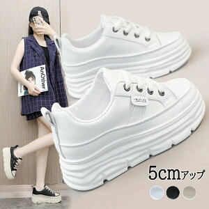 ����X�j�[�J�[ ���f�B�[�X ����5cm �V���[�Y ���� ���L ���� �X�j�[�J�[ ���f�B�[�X ���ꂢ�� ������ �C �V���[�Y �_�b�h�X�j�[�J�[ �O������ ������� ���r ����C �g���A�b�v �אg ���