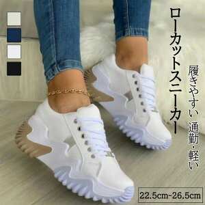 �ySNS��l�C�z����X�j�[�J�[ ���f�B�[�X �_�b�h�X�j�[�J�[ �؍� ����V���[�Y �E�H�[�L���O�V���[�Y �y�� �h�� �����₷�� �O������ �C���q�[���X�j�[�J�[ 5cm �傫���T�C�Y ����C �ʋ� ��