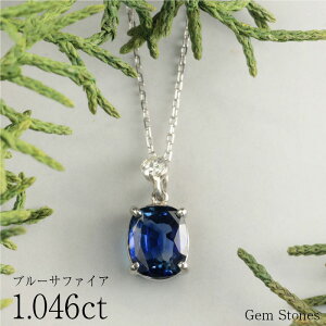 yŷ݁I5000~N[|zzIz u[Tt@CA @1D046ct @_Ch@lbNX @y_g v`ilbNX Pt900@lbNX fB[X ꗱlbNX a V