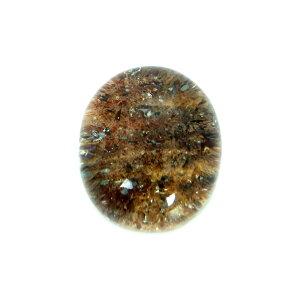 K[fNI[c nCNIeB[ [X  }N p[Xg[ VR ANZT[ nhCh