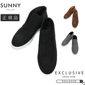 PELLICO SUNNY y[RTj[ J[tXG[h NEW `bJu[c Y PM242UA24M007SUE