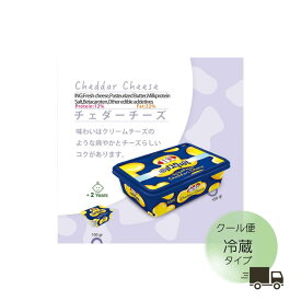 【★クール便】ペルシアンパニール【正規取扱店】クリームチーズチェダー風味150g 1個　チェダーのコクとクリーミーさを融合させた新たなクリームチーズ