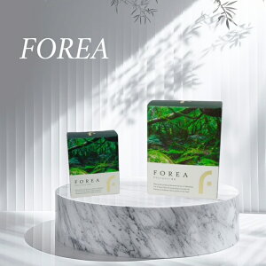 FOREA FOREA()@20g {́@tBg`bh̍