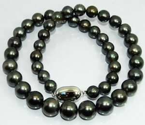 m^q`p[ (p[) 7.9`11.9mm Of[V lbNX yXΉiz