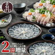 【早期割500円OFFクーポンあり】P5倍！ 国産 とらふぐ ★2倍 増量★ 約4～5人前 玄 セット ふぐ ふぐ刺し…