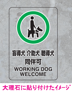 JISKiSW@XebJ[ij5ӓ   @807-75@150×100 yŔ/\/V[/e[v/TCE}[Nz