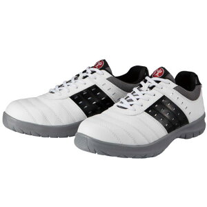 hPSC@DK|12@_CiXeBi߂j@Z[teB[Xj[J[@Dynasty@KIRAMEKI