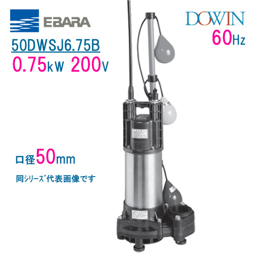 エバラ DS型汚水用水中ポンプ 50Hz 口径32mm ( 32DS5.15S ) (株)荏原