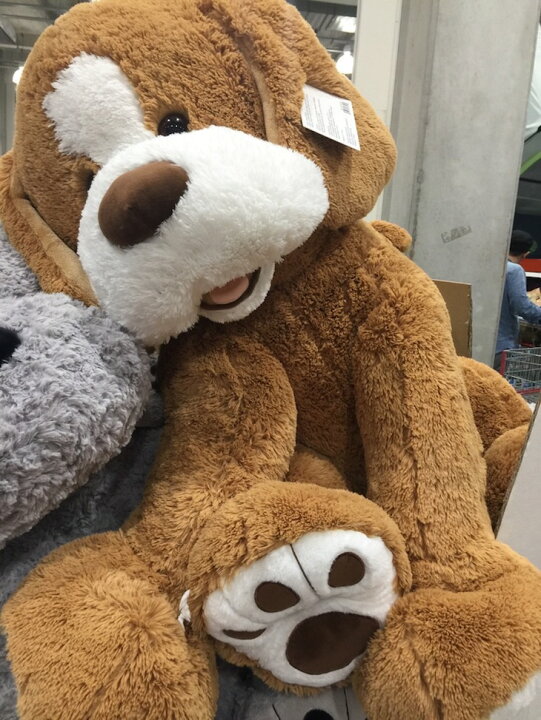 楽天市場 送料無料 コストコ 超bigで可愛い プラッシュパピー Plush Puppy Hugfun ハグファン 色 ブラウン 犬 いぬ ぬいぐるみ Z スペシャリティーショップ デイ
