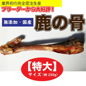 楽天市場 骨 犬 特大の通販