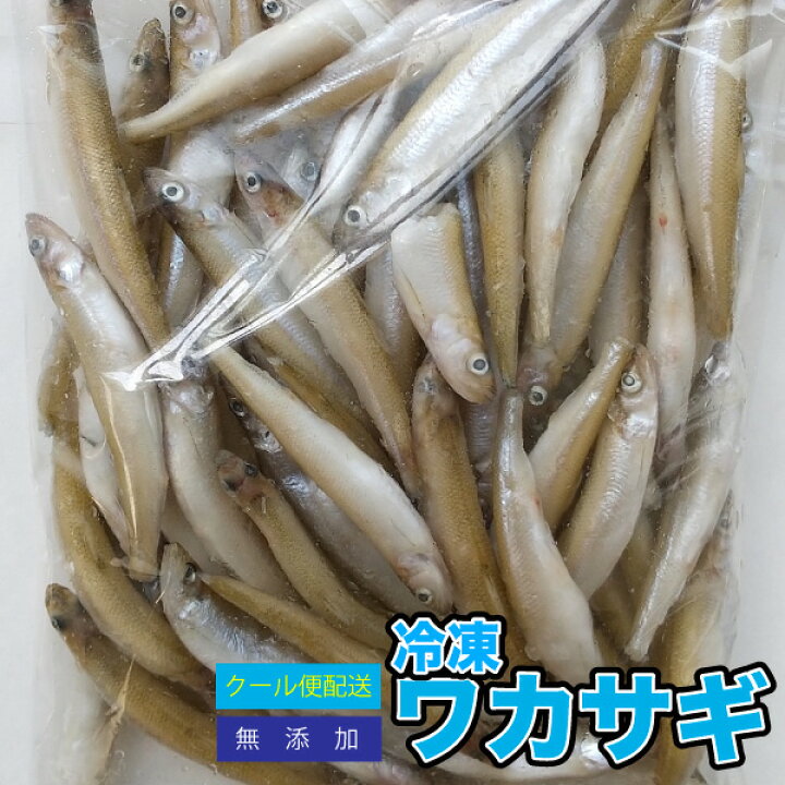 楽天市場 冷凍餌 冷凍ワカサギ 約500g 約8cm前後 わかさぎ 大型魚のエサ 別途クール便送料 クール便配送 爬虫類 両生類 Dbp スペシャリティーショップ デイ
