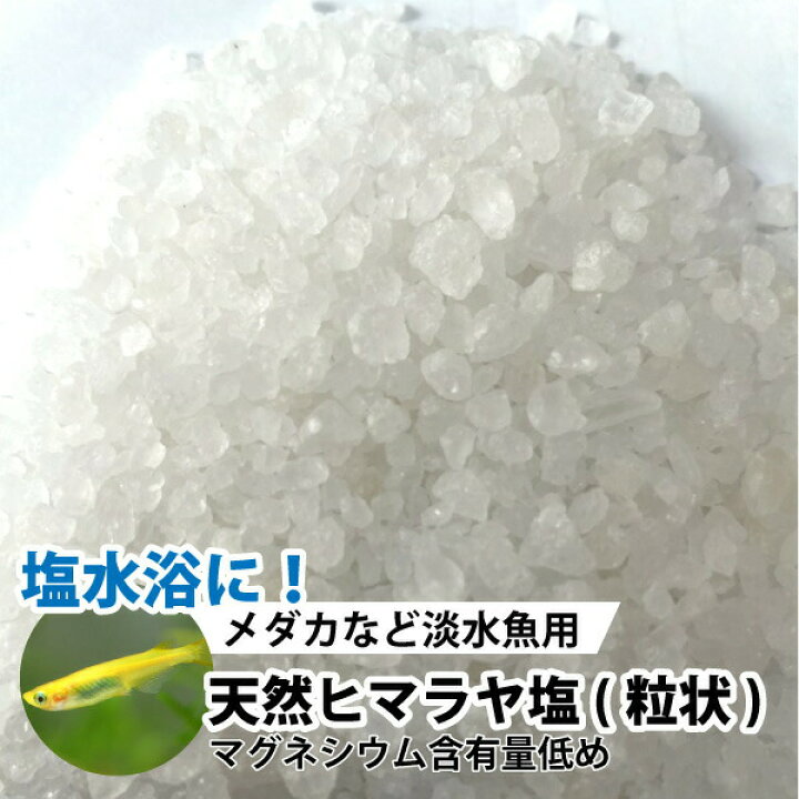 楽天市場 メダカ 金魚 淡水魚用 天然ヒマラヤ塩 粒状 3 5mm 100g 計量スプーン付 ヒマラヤソルト 塩水浴 めだか 金魚 淡水魚 観賞魚 Dbp スペシャリティーショップ デイ