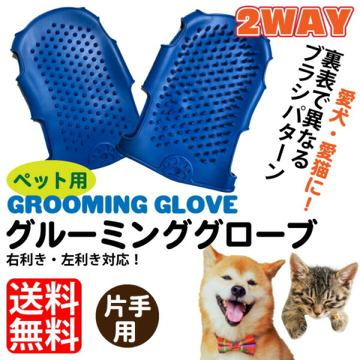 犬 猫 ペット用 グルーミンググローブ (片手用) 色:ブルー 両面ブラシ フリーサイズ 両手対応 抜け毛 毛玉 マッサージ メール便(ポスト投函)送料無料【DBP】 スペシャリティーショップ デイ