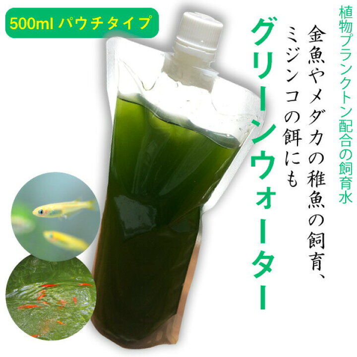 楽天市場 グリーンウォーター パウチタイプ 500ml 植物プランクトンを入れた飼育水 メダカ 金魚 稚魚飼育 ミジンコの餌 水質 淡水用 メール便送料無料 Dba スペシャリティーショップ デイ