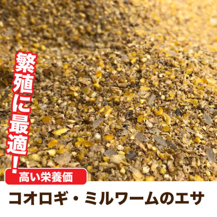 楽天市場 0g コオロギ ミルワームのエサ 繁殖 昆虫飼料 コオロギ ブリーダー 高栄養価 配合飼料 コオロギ ミルワーム 繁殖 メール便送料無料 Dbp スペシャリティーショップ デイ 楽天市場 0g コオロギ ミルワームのエサ 繁殖 昆虫飼料 コオロギ ブリーダー 高栄養価 配合飼料 コオロギ ミルワーム 繁殖 メール便送料無料 Dbp スペシャリティーショップ デイ