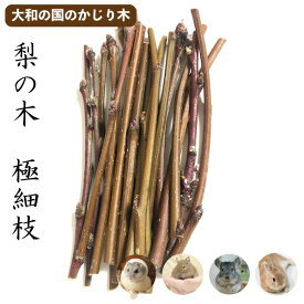 楽天市場 かじり木 梨の通販