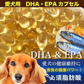 ペット用 犬 DHA EPA カプセル(195g/約300粒程度) DHA EPA 犬 サプリメント オメガ3 必須脂肪酸 アレルギー 健康 魚油 血液サラサラ メール便送料無料【Z】