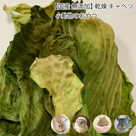 小動物のおやつ　国産　無添加　乾燥キャベツ　40g　キャベツ　乾燥野菜　ドライベジタブル 小動物 うさぎ ハムスター デグー チンチラ【DBP】