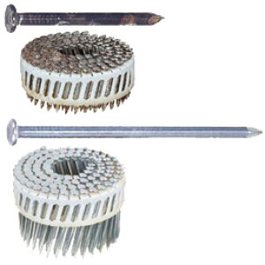 MAX ڍBZ-FCP65W3(ZN) 100{×20