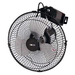 �L�d CFF253WMA �H�Ɛ� 25cm �A���~�H�� �Ǌ|���^ KODEN