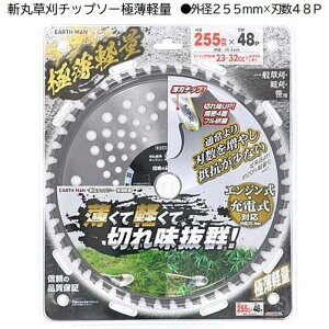 V EARTH MAN a `bv\[ɔy 255mm×48P  `bv\[ ؂ꖡQ