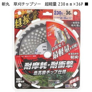 V EARTH MAN a `bv\[ y 230mm×36P  `bv\[ bV^Cv