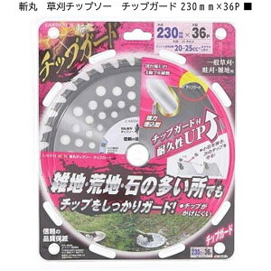 V EARTH MAN a `bv\[ `bvK[h 230mm×36P 2019384  `bv\[ ɂ