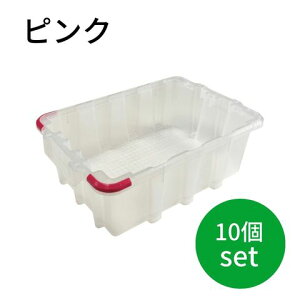 nescon lXeBO X^bLO Rei { 10Zbg J[FsN [ ςݏd