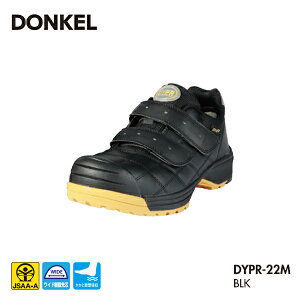 hP SC _CiXeBvV[Y DYPR22M DONKEL ƌC