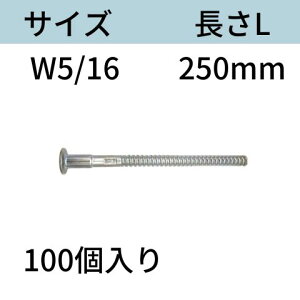 RBねじホンタイ(ナット別添) サイズ:W5/16 L:250mm 入数:100 フォームタイ ホームタイ 送料無料 コンドーテック