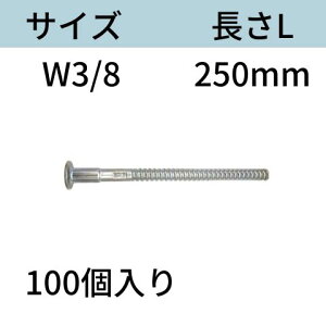 RB˂z^CiibgʓYj TCYFW3/8 LF250mm F100 tH[^C z[^C  Rh[ebN