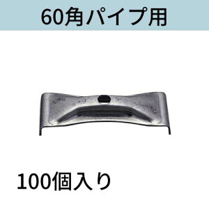 y؍60ppCvp F100  Rh[ebN