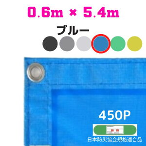 �h�����b�V���V�[�g 2�� 0.6m×5.4m 10������ �u���[ �h���V�[�g ���b�V���V�[�g �h�΃V�[�g ��R�V�[�g �����V�[�g ���z�p ����p �y�� ���� �Ɩ��p ��v �h�o �ό� ���O�p �K�i�i �H������ �q