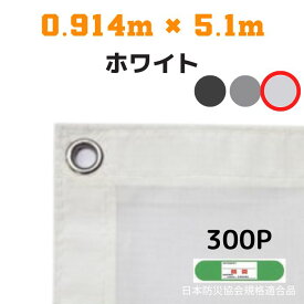 防炎メッシュシート 2類 0.914m×5.1m 10枚入り ホワイト 防炎シート メッシュシート 防火シート 難燃シート 透明シート 建築用 足場用 軽量 厚手 業務用 丈夫 防塵 耐候性 屋外用 規格品 工事現場 倉庫 車庫 養生 送料無料
